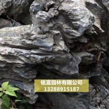 假山 園林藝術(shù)中的自然縮影