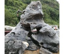 太湖石(假山)產(chǎn)品庫——價格、圖片與廠家信息一覽