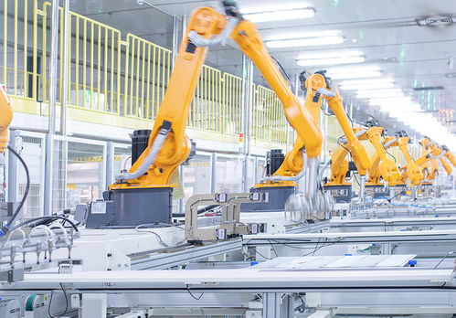 晶科能源 以智能設備驅動質量革命，領航光伏產業新篇章